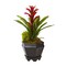 Nearly Natural Home Decor Bromeliad in Black Hexagon Planter - Red